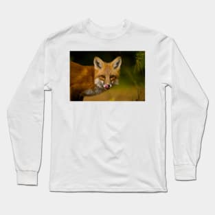 Red Fox Long Sleeve T-Shirt